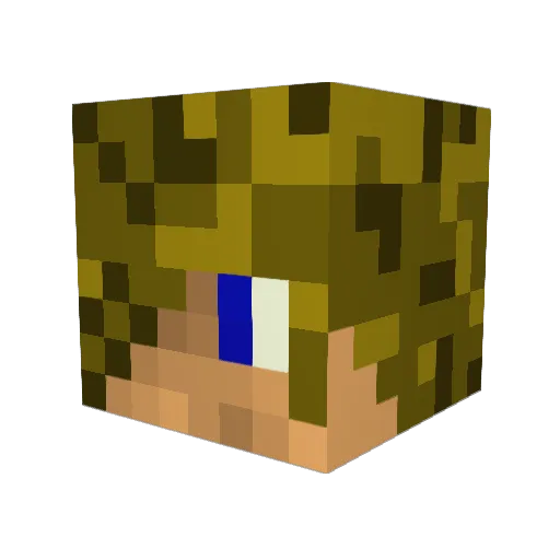 Nonton7 Minecraft avatar head, 3D render