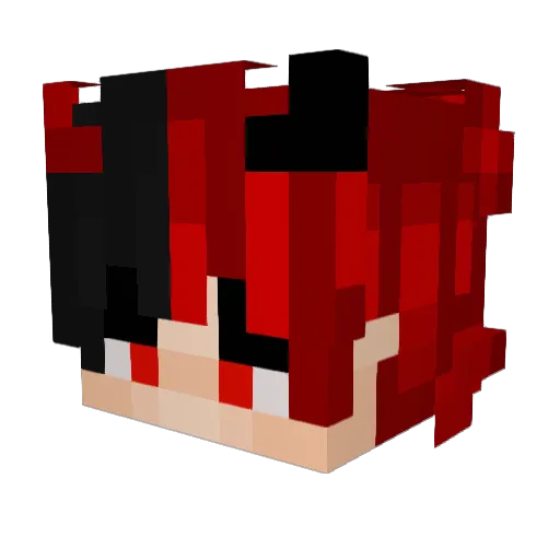 Nonv3rbal Minecraft avatar head, 3D render