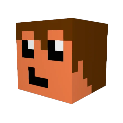 Nony42 Minecraft avatar head, 3D render