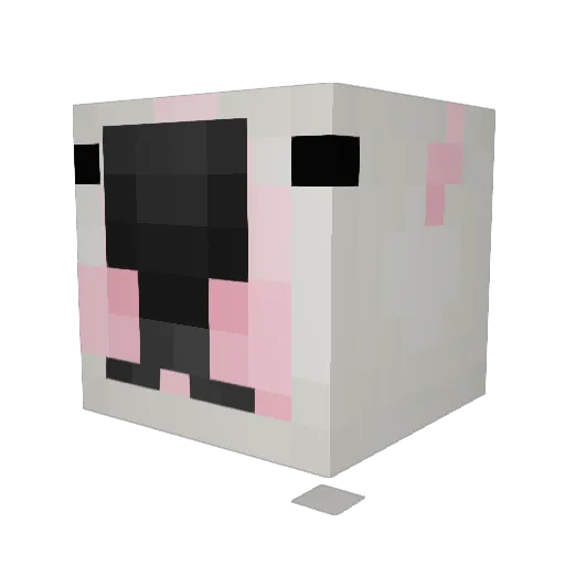 NooDaatKai Minecraft avatar head, 3D render