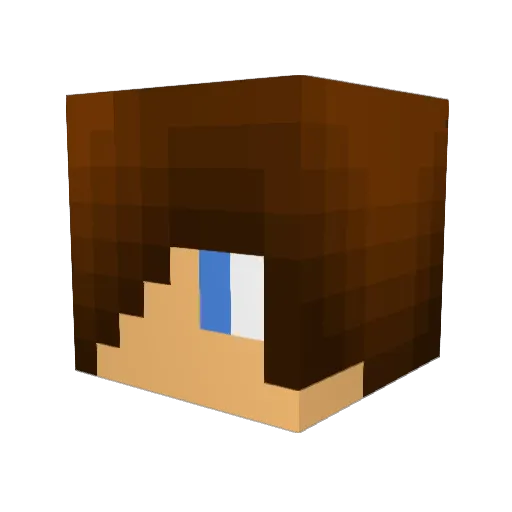 NoobCam Minecraft avatar head, 3D render
