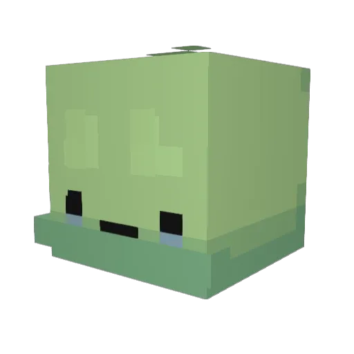 NoobEnte48301 Minecraft avatar head, 3D render
