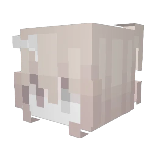 NoobKillBie Minecraft avatar head, 3D render