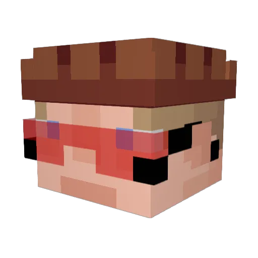 NoobMan1337 Minecraft avatar head, 3D render