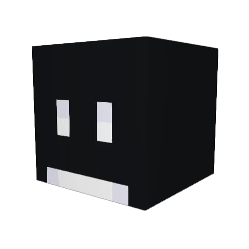 NoobMaster00 Minecraft avatar head, 3D render