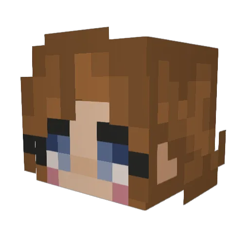 NoobMaster5000 Minecraft avatar head, 3D render