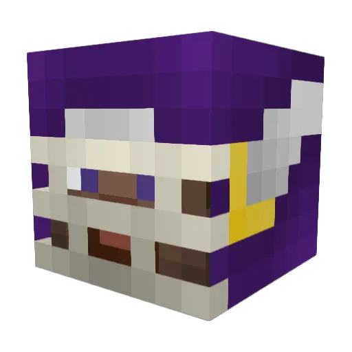 NoobSlayer123 Minecraft avatar head, 3D render