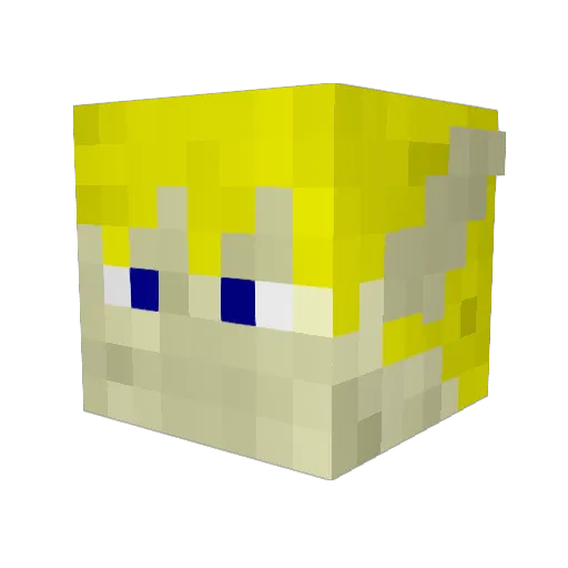 NoobWantsHacks Minecraft avatar head, 3D render