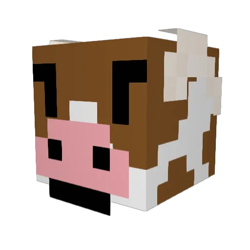 Noob_9207 Minecraft avatar head, 3D render