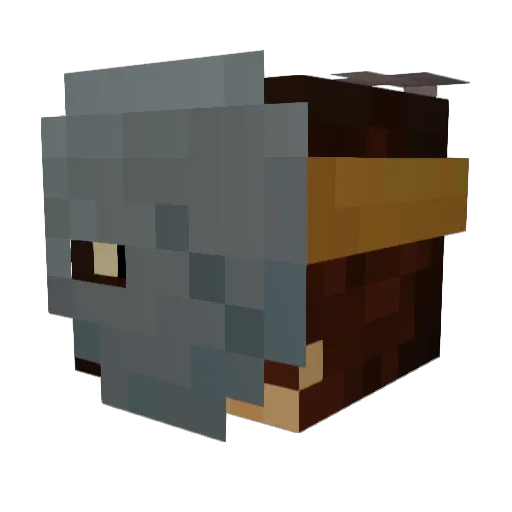 Noob_Cove Minecraft avatar head, 3D render