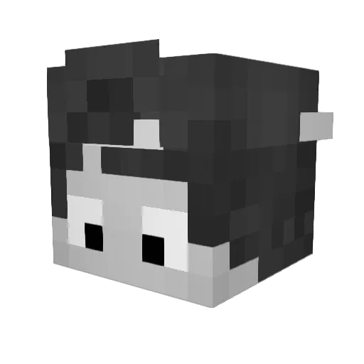 Noob_Mito Minecraft avatar head, 3D render