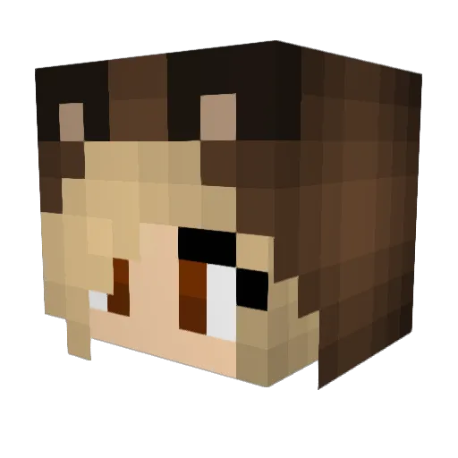 Noob_doge Minecraft avatar head, 3D render