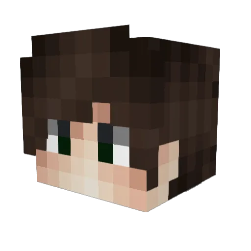 Noobax Minecraft avatar head, 3D render