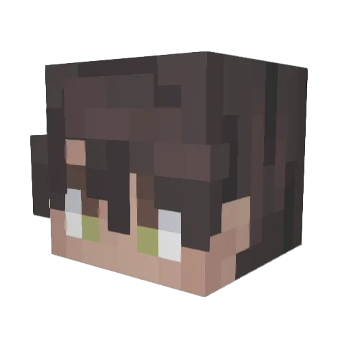 Noobcake33 Minecraft avatar head, 3D render