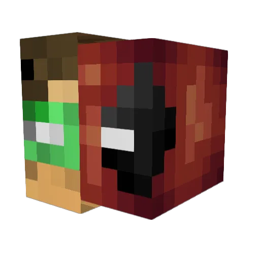 Noobeboy Minecraft avatar head, 3D render
