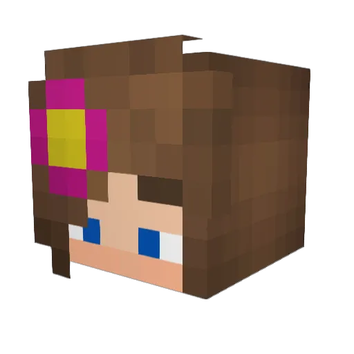 Noobgamer3003 Minecraft avatar head, 3D render