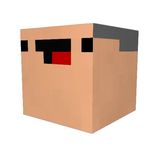 NoobiXx_ Minecraft avatar head, 3D render