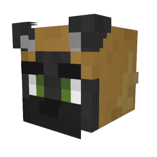 Noobiemaster24 Minecraft avatar head, 3D render