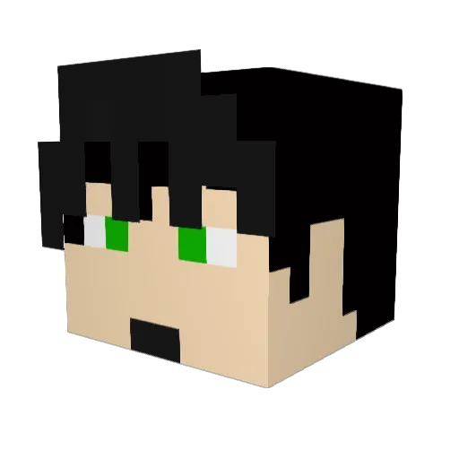 NoobishMcCool Minecraft avatar head, 3D render