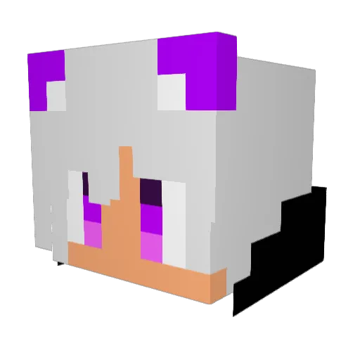 Noobmanh Minecraft avatar head, 3D render
