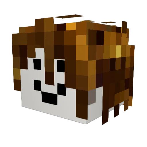 Noobs4Life123 Minecraft avatar head, 3D render