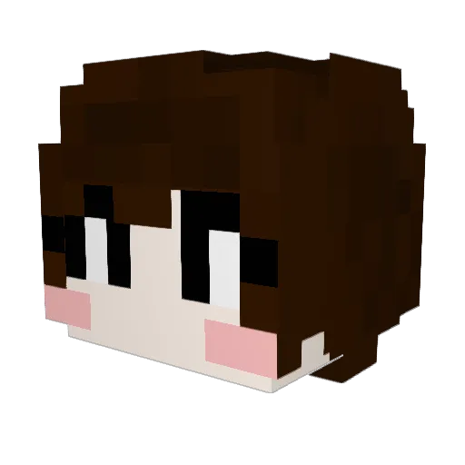 Noobslayer565 Minecraft avatar head, 3D render