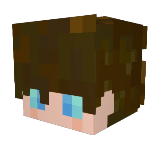Noobstar3 Minecraft avatar head, 3D render