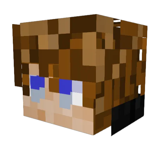 Noobus_Poobus Minecraft avatar head, 3D render