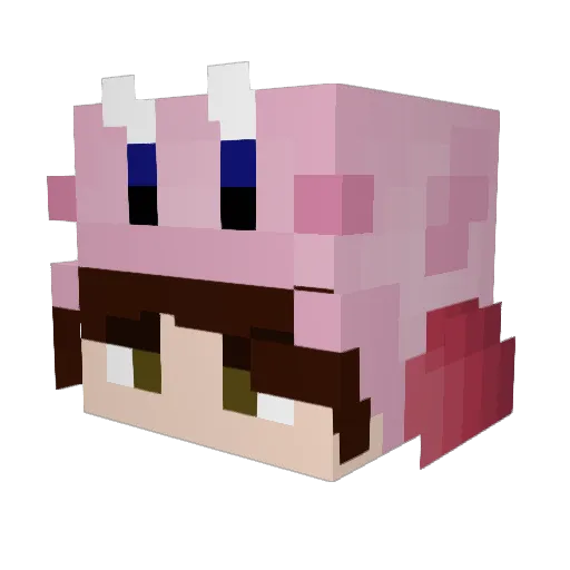 NoobyDoge Minecraft avatar head, 3D render