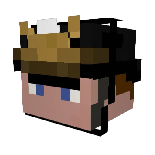 Nooby_der_beste Minecraft avatar head, 3D render