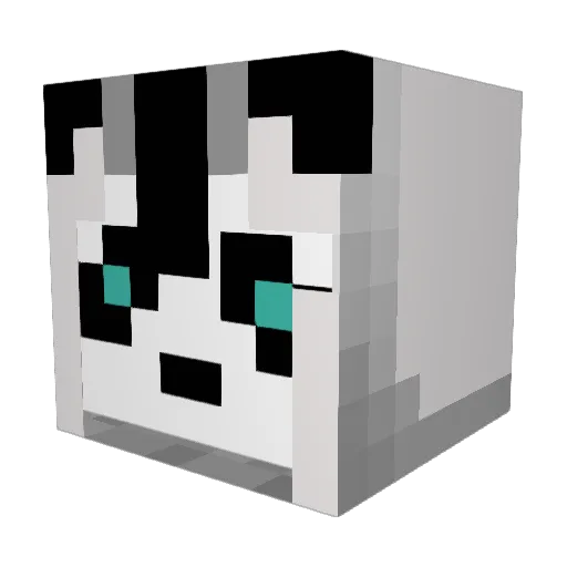 Nooch0403 Minecraft avatar head, 3D render