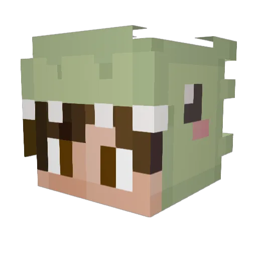 Noodaliee Minecraft avatar head, 3D render