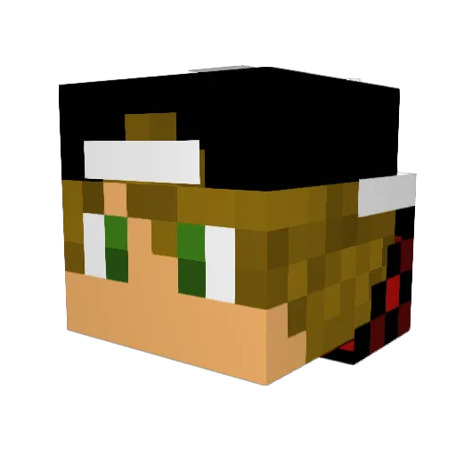 NoodelsGuber Minecraft avatar head, 3D render