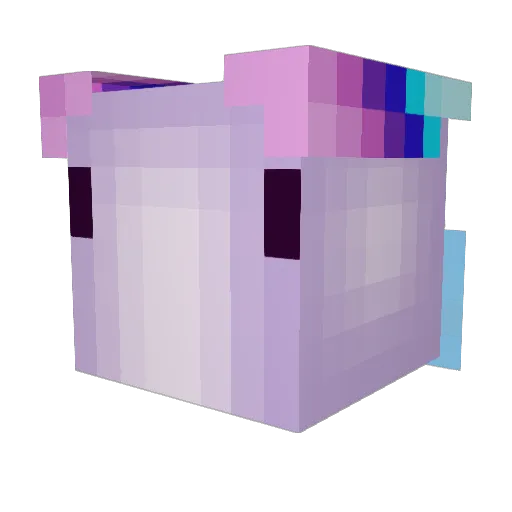 Noodle360 Minecraft avatar head, 3D render