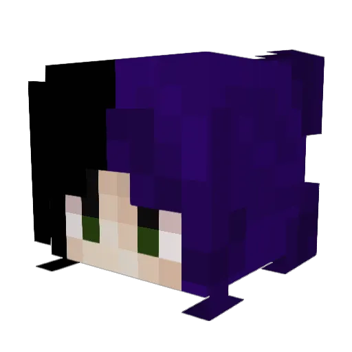 NoodleDoodle111 Minecraft avatar head, 3D render