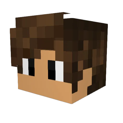 NoodleDragon2 Minecraft avatar head, 3D render