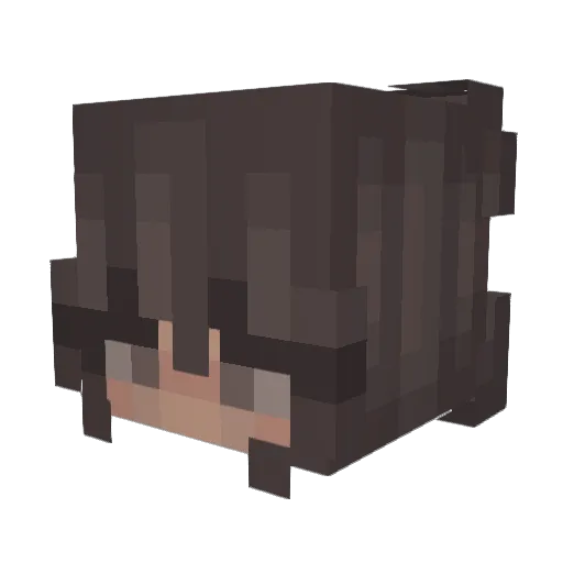 NoodleHoodle Minecraft avatar head, 3D render