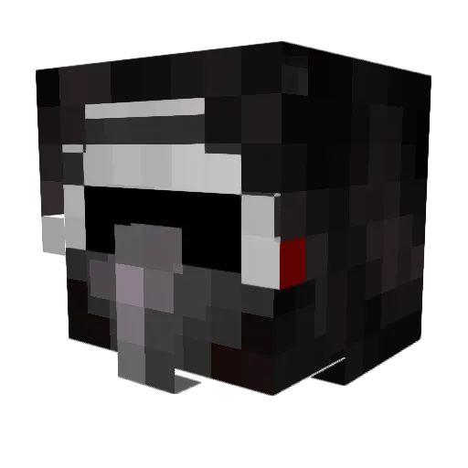 NoodleMaster12 Minecraft avatar head, 3D render