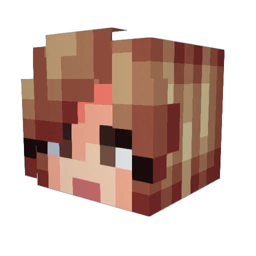 NoodleOfDeath Minecraft avatar head, 3D render