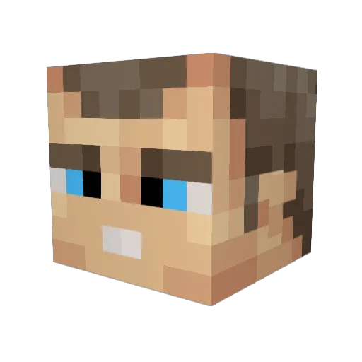 NoodlePoodle420 Minecraft avatar head, 3D render