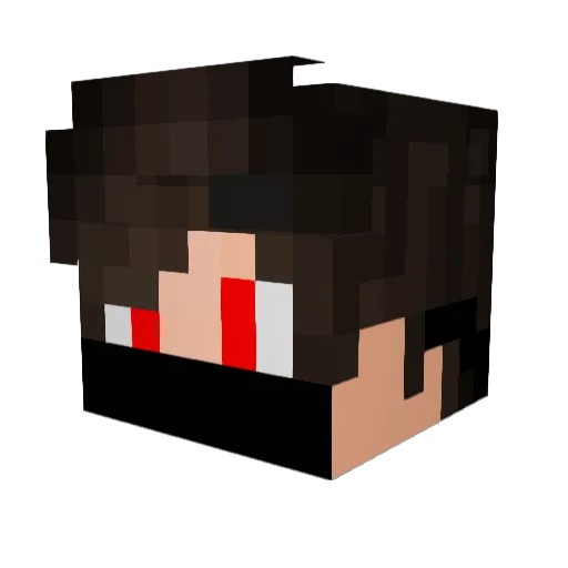 NoodlePoppy Minecraft avatar head, 3D render