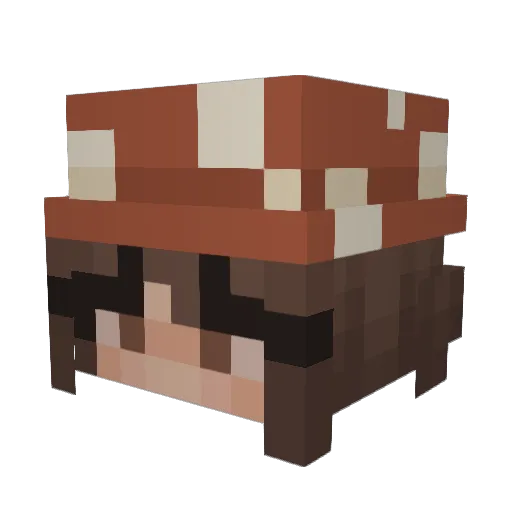 NoodlePot22 Minecraft avatar head, 3D render
