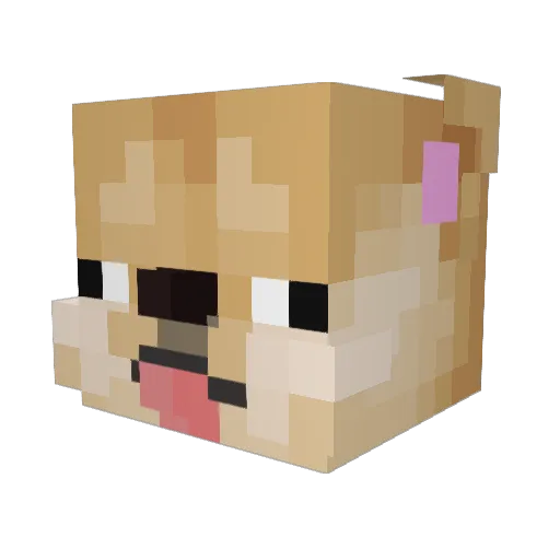 NoodlePowaa Minecraft avatar head, 3D render