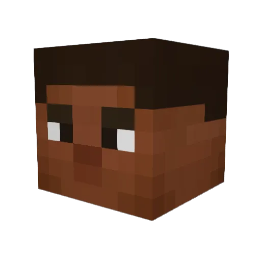 NoodleSoap1422 Minecraft avatar head, 3D render