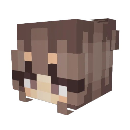 NoodleSoup48 Minecraft avatar head, 3D render