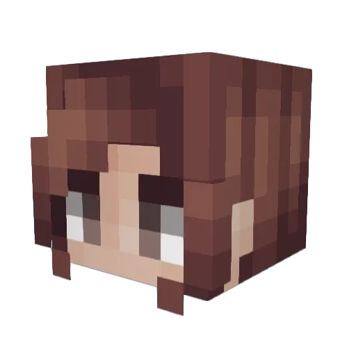 Noodle_Cake11 Minecraft avatar head, 3D render