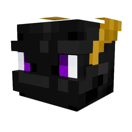 Noodle_Derg Minecraft avatar head, 3D render
