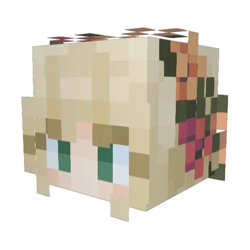 Noodles5833 Minecraft avatar head, 3D render