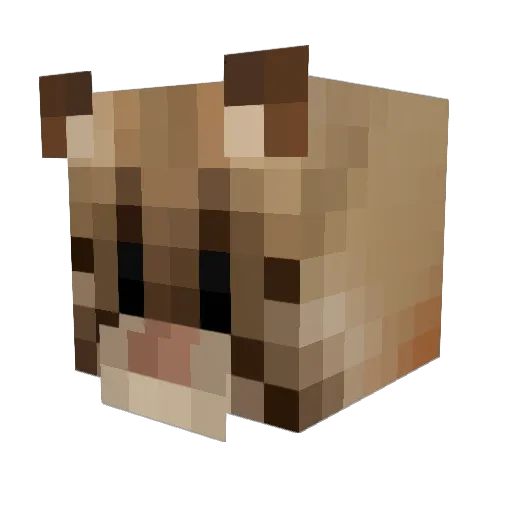 Noodles903 Minecraft avatar head, 3D render