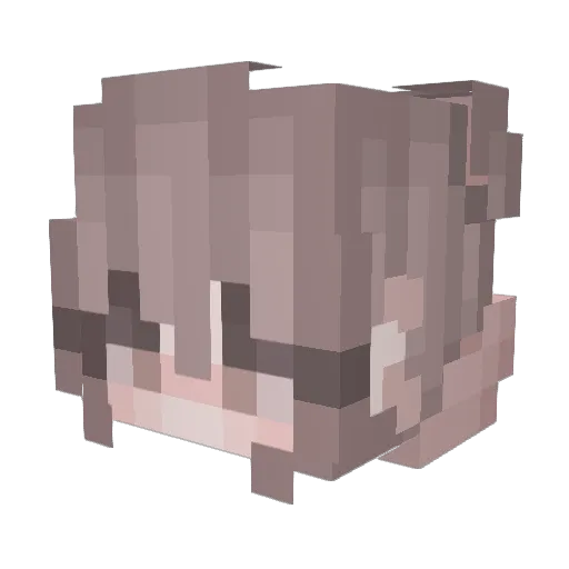 NoodlesOfCup Minecraft avatar head, 3D render